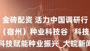 金砖配资 活力中国调研行 | 黄淮海（宿州）种业科技谷   科技赋能种业振兴_大皖新闻 | 安徽网