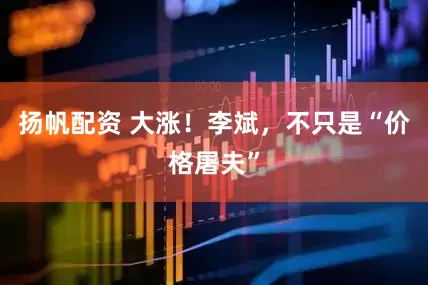扬帆配资 大涨！李斌，不只是“价格屠夫”