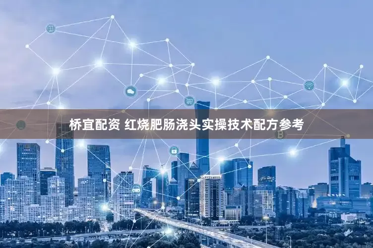 桥宜配资 红烧肥肠浇头实操技术配方参考