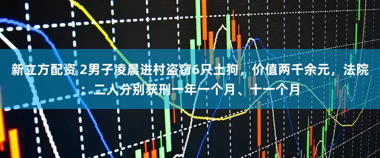 新立方配资 2男子凌晨进村盗窃6只土狗，价值两千余元，法院：二人分别获刑一年一个月、十一个月