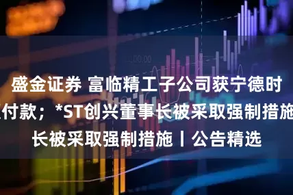 盛金证券 富临精工子公司获宁德时代15亿元预付款；*ST创兴董事长被采取强制措施丨公告精选
